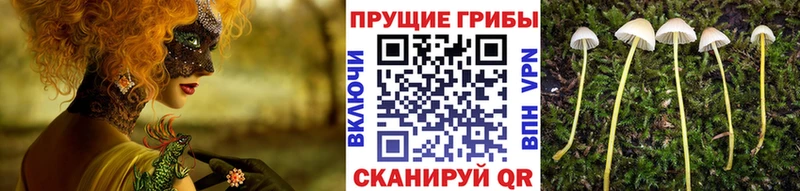 маркетплейс телеграм  купить наркотики цена  Карабаш  Псилоцибиновые грибы прущие грибы 